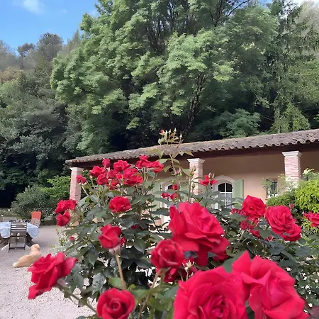 度假居 Bastidon Les Oliviers *